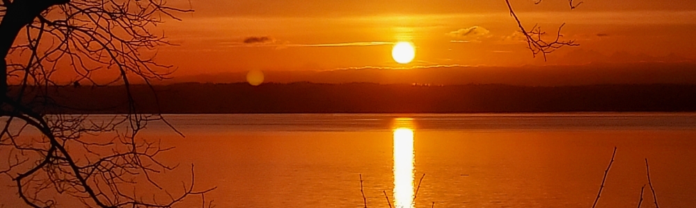User banner image